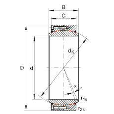 P(gun)(ji)S GE670-DW-2RS2, (j) DIN ISO 12 240-1 (bio), Soɂ(c)ܷ